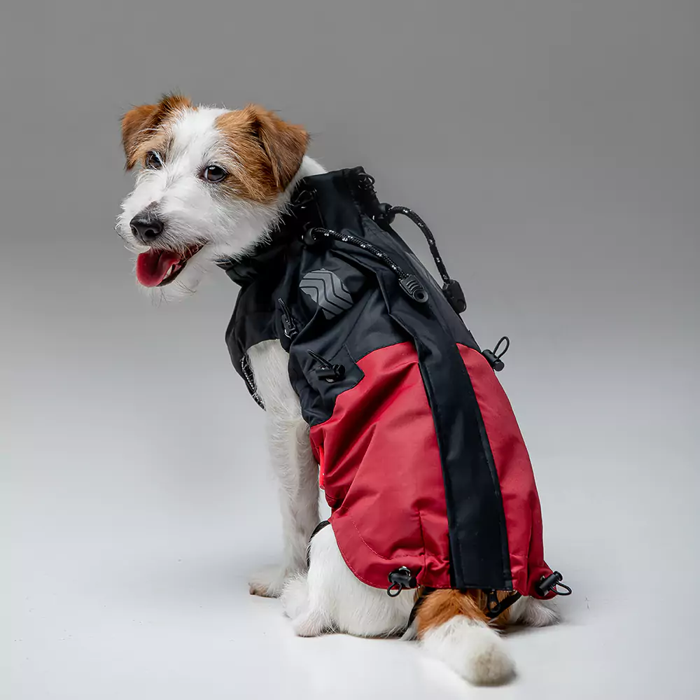 image of dog jacket