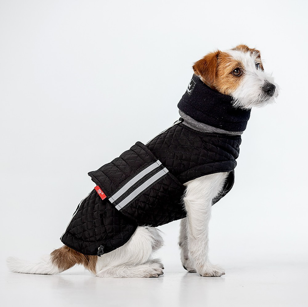 image of dog jacket 